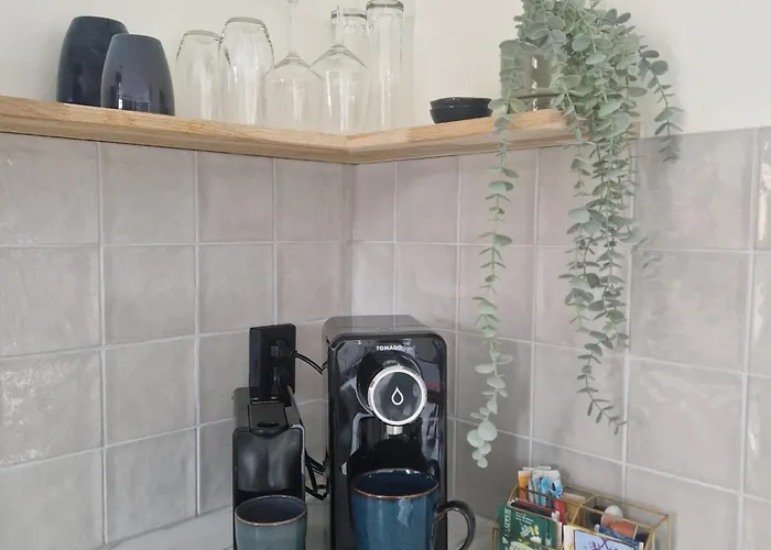 Botel Woonboot Zus Zwaan